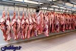 آغاز عرضه تخم مرغ ، تدابیر دولت جهت کنترل بازار محصولات پروتئینی