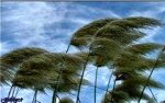 کم کردن دما و زیاد کردن باد در زیاد استان های کشور